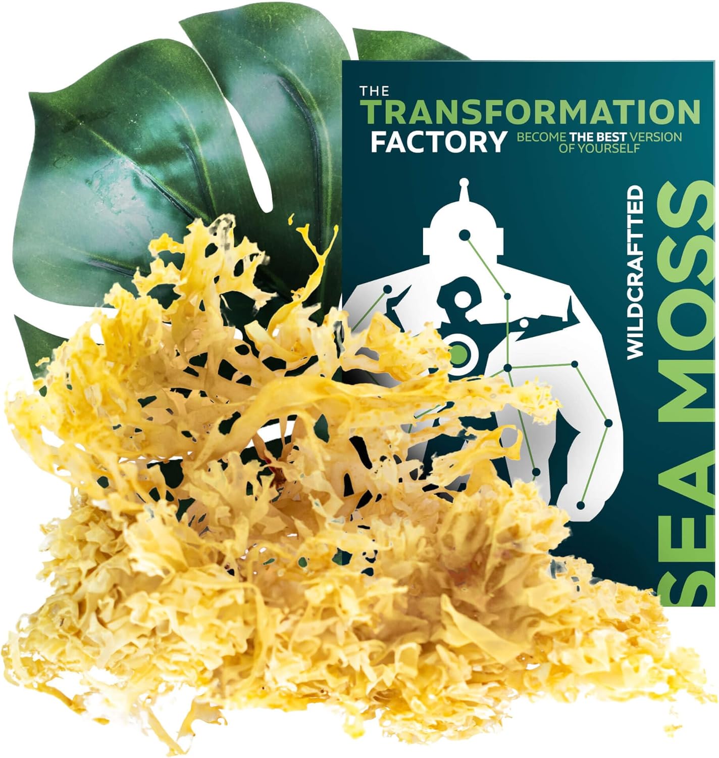 The Transformation Factory Sea Moss Gel
